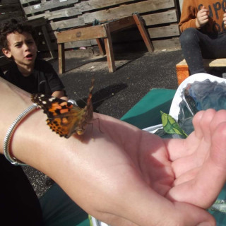 holding-butterflies